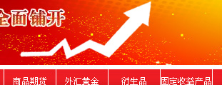 中國注冊金融分析師會員俱樂部 網站設計建設開發(fā)