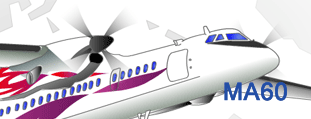 M60飛機 網站設計建設開發(fā)