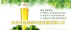 海南恒昌盛德 網站制作 網站開發